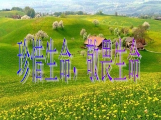 斑羚飞渡课件