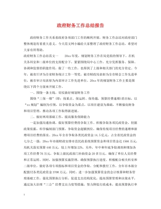 政府财务工作总结报告