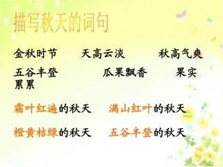 《11秋天的雨》第二课时