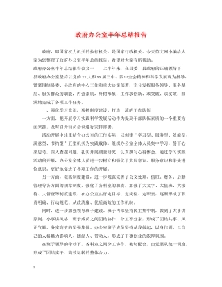 政府办公室半年总结报告