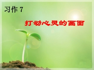 苏教版语文四年级上册习作7课件(2)