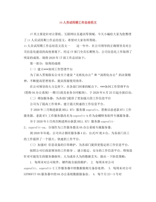 it人员试用期工作总结范文