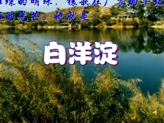 一单元第二课芦花荡