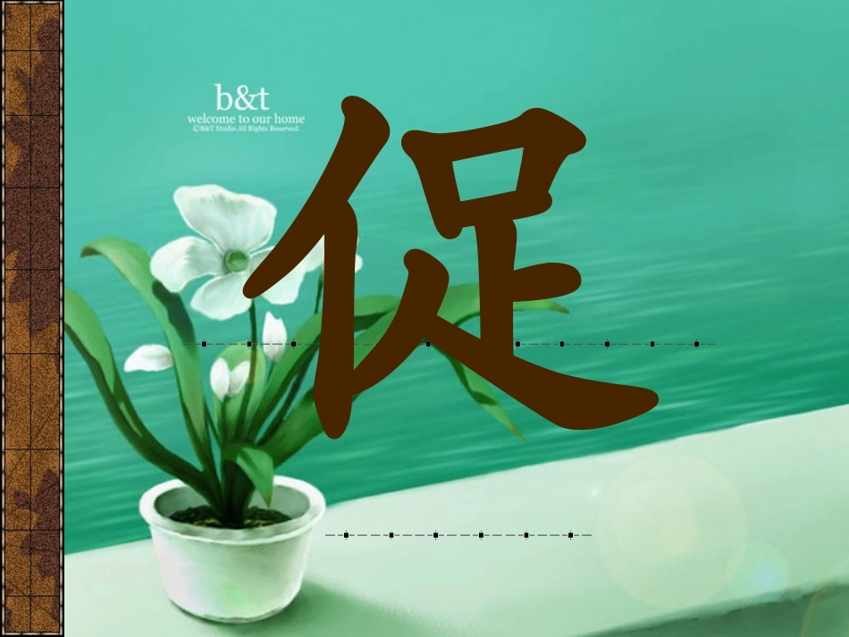 古诗两首夜书所见九月九日忆山东兄弟_第3页