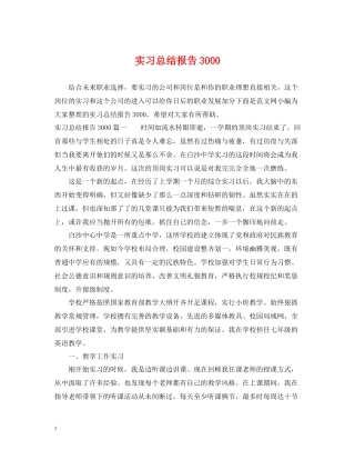 实习总结报告3000