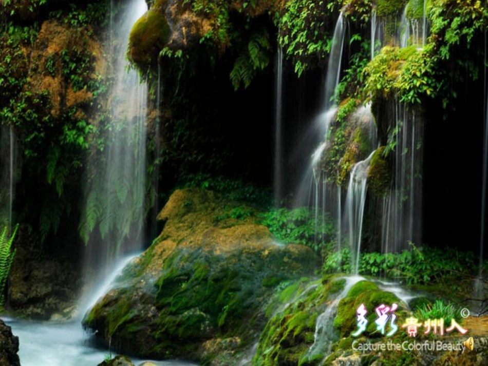 第二册下-2单元-5课-泉水课件_第1页