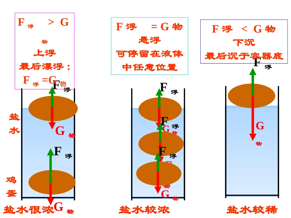 第3节水的浮力(3)新_第3页