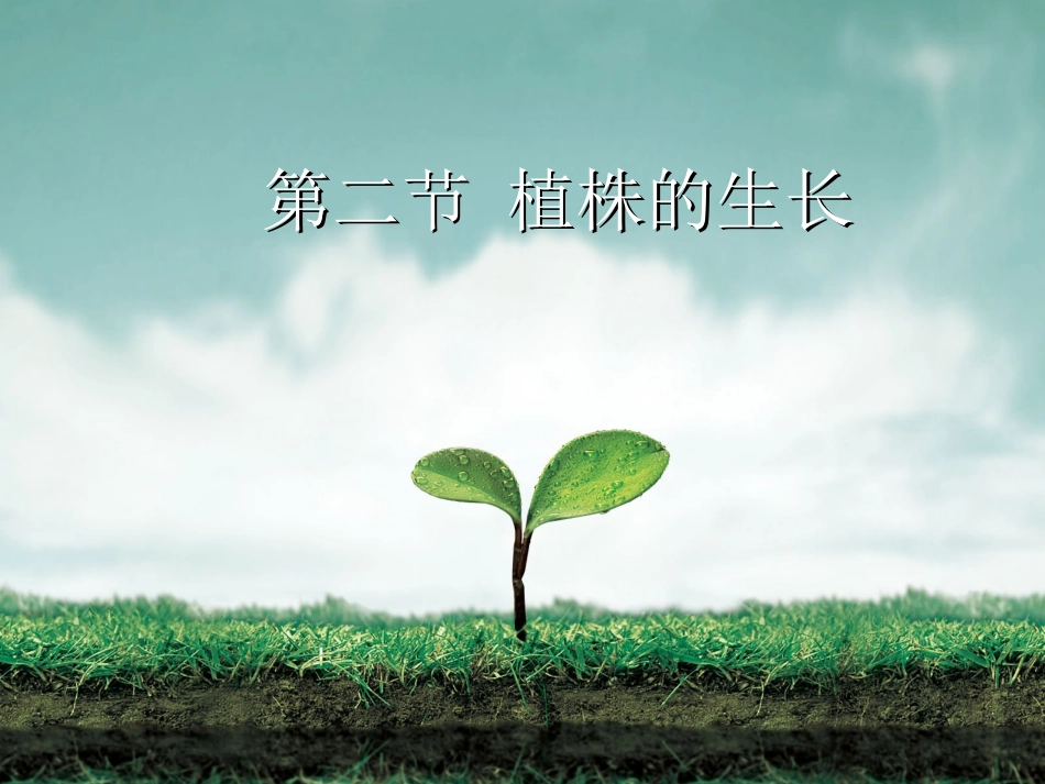 人教版七上第三单元第二章第二节植株的生长（共36张PPT）_第1页