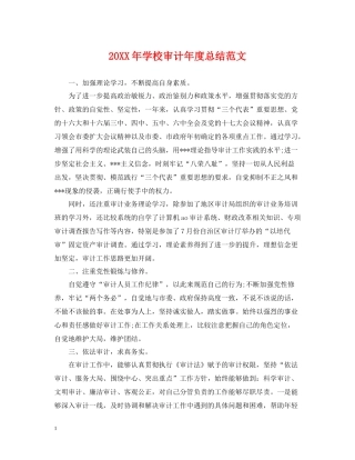 学校审计年度总结范文2