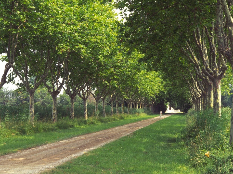 六语上第四单元口语交际——珍惜资源_第2页