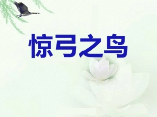 《惊弓之鸟》PPT课件