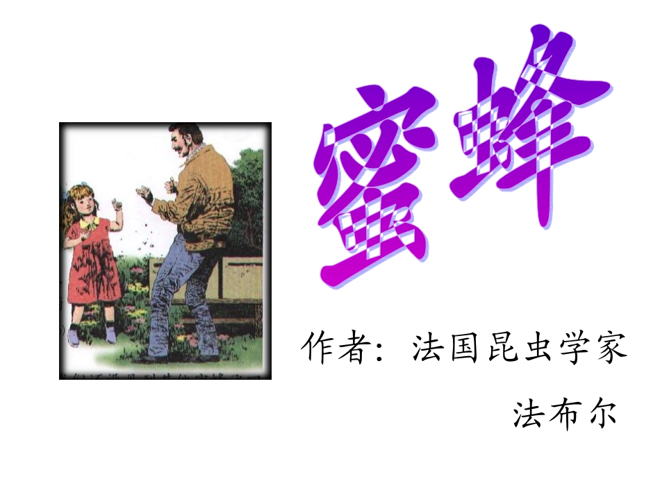 语文三年级上册《蜜蜂》PPT课件2_第1页