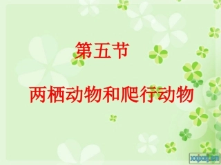 两栖动物和爬行动物 (2)