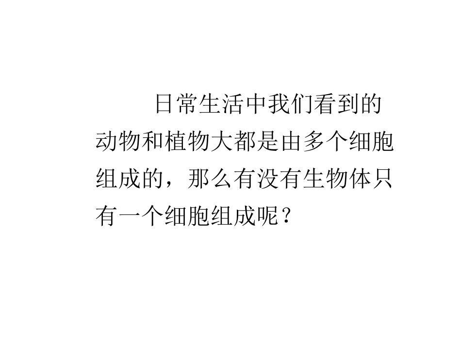 生物教学PPT单细胞生物_第2页