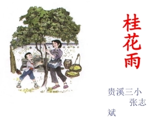 小学五年级上册《桂花雨》课件