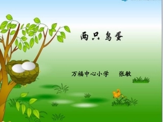两只鸟蛋说课课件1