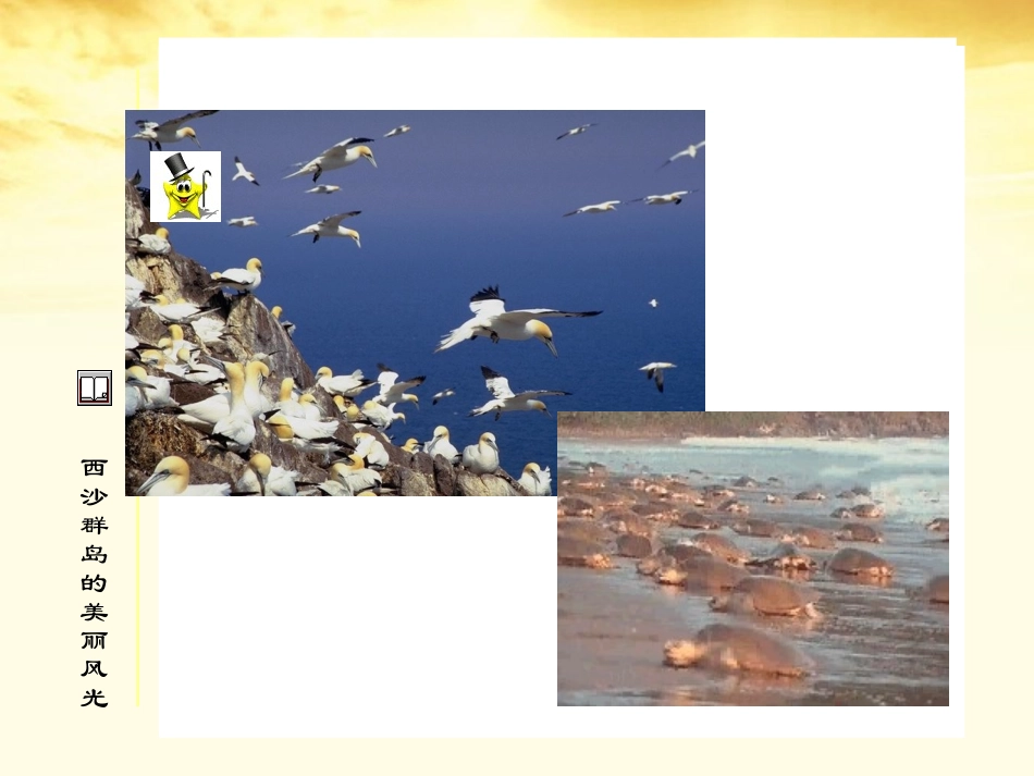 三年级语文下册富饶的西沙群岛3课件北京版_第2页