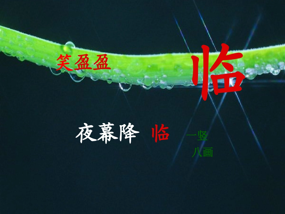小露珠第二课时_第2页