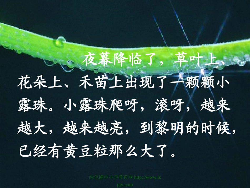 小露珠第二课时_第3页