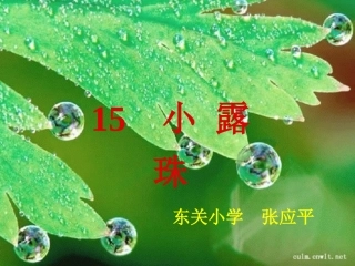 小露珠第二课时