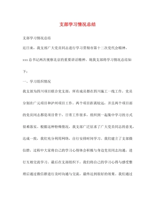 支部学习情况总结