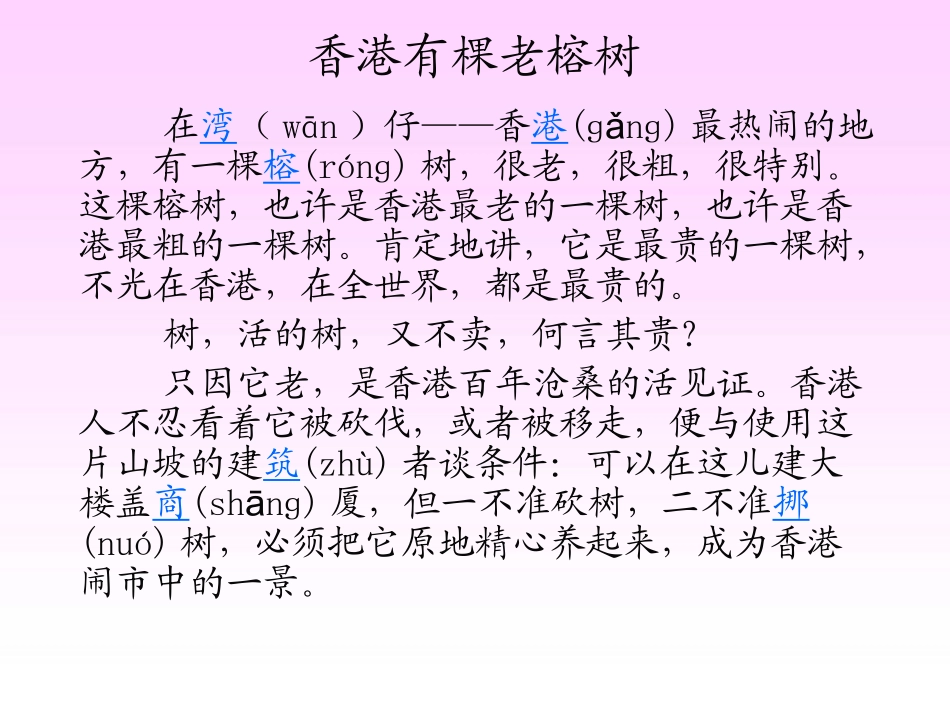 香港有棵老榕树_第3页