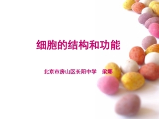 梁娜-细胞的结构和功能