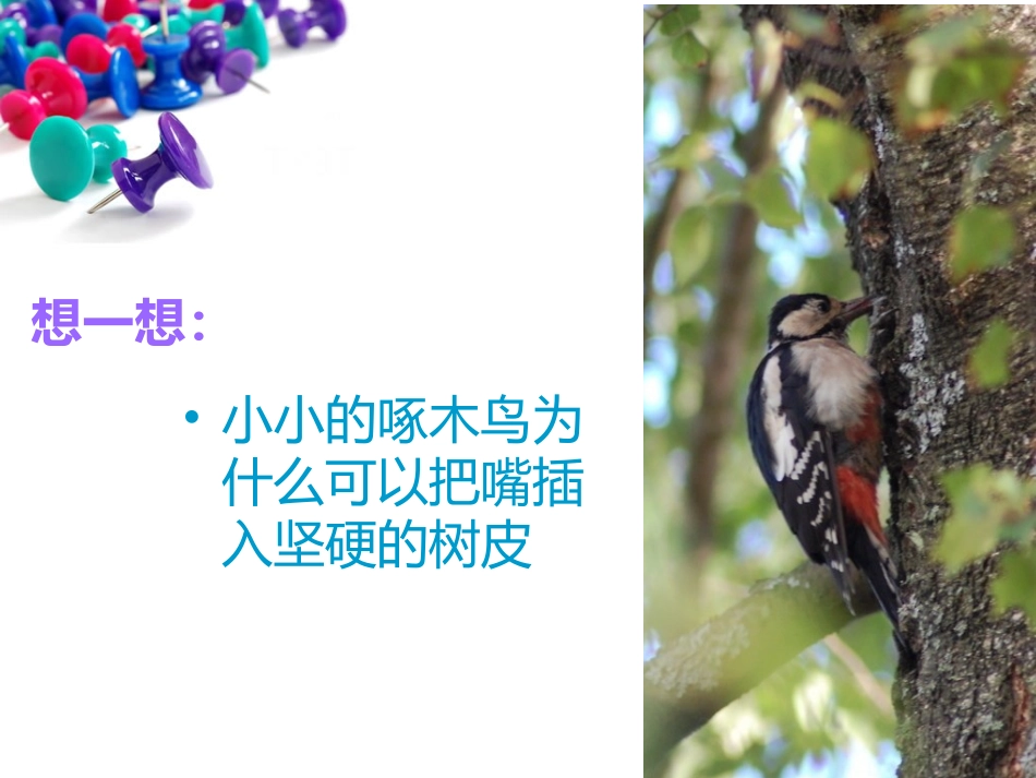 压强课件(1)_第2页