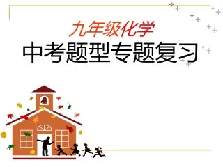 中考题型专题复习(1)