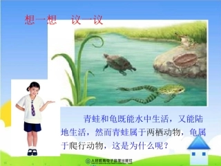 两栖动物和爬行动物