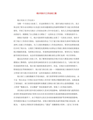 统计局实习工作总结三篇