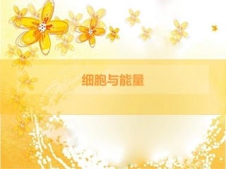 细胞的能量“通货”ATP