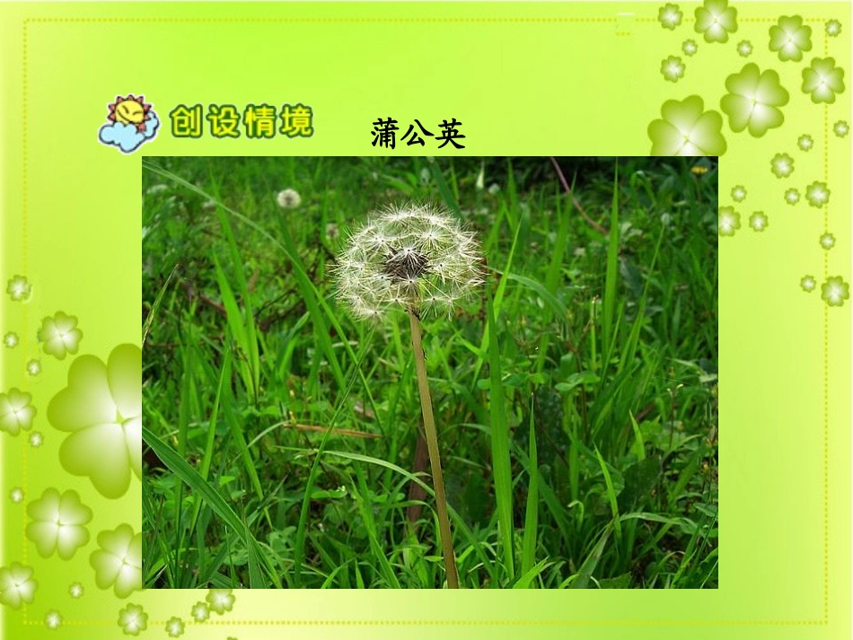 人教版语文二上3《植物妈妈有办法》课件(7)_第3页