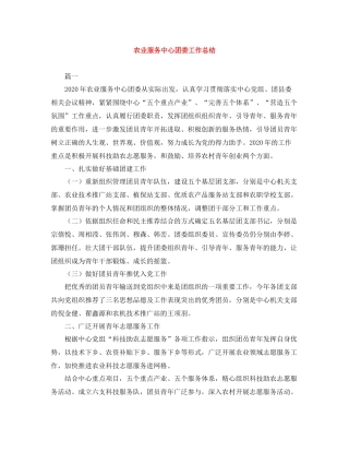 农业服务中心团委工作总结