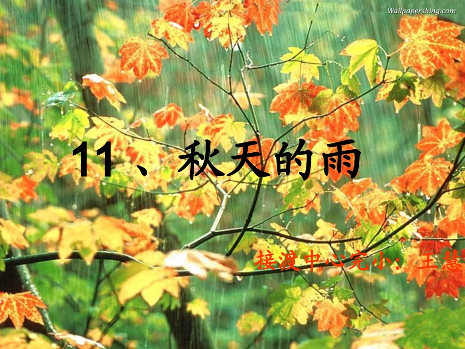 秋天的雨奖学设计课件PPT_第1页