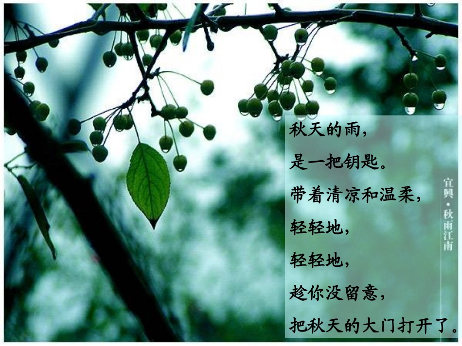 秋天的雨奖学设计课件PPT_第2页