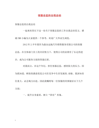 客服总监的自我总结