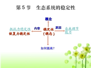 第五节生态系统的稳定性