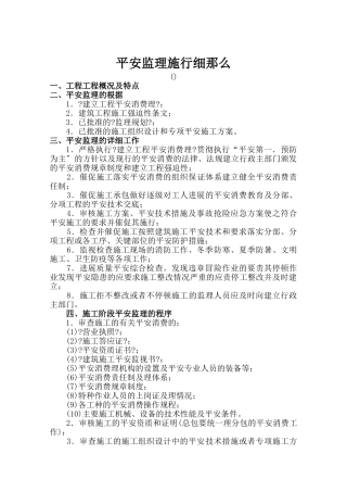 公司安全监理实施细则（试行）