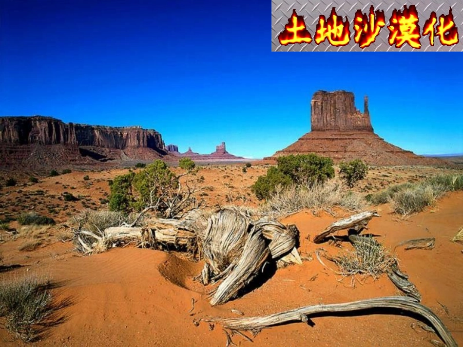 青山不老课件(公开课)+白西锋_第1页