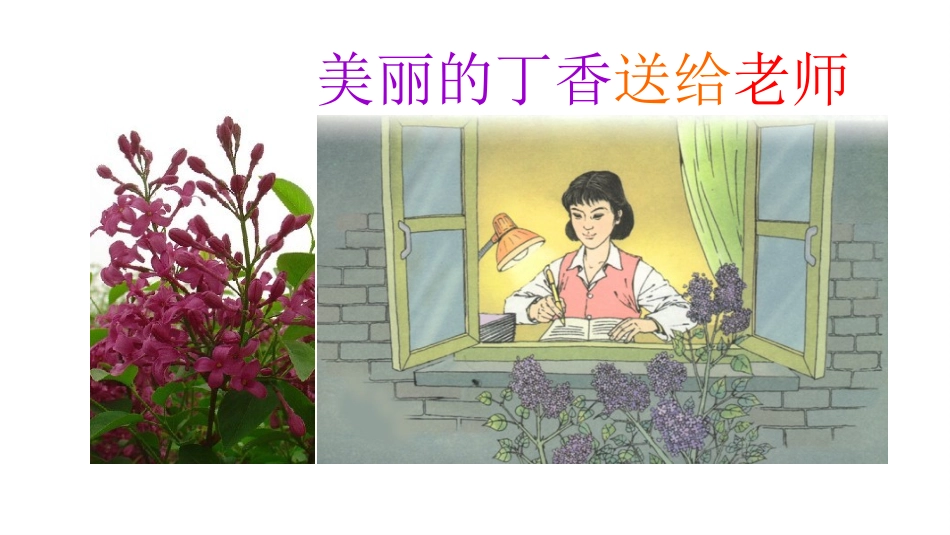 《一株紫丁香》课件 (2)_第2页