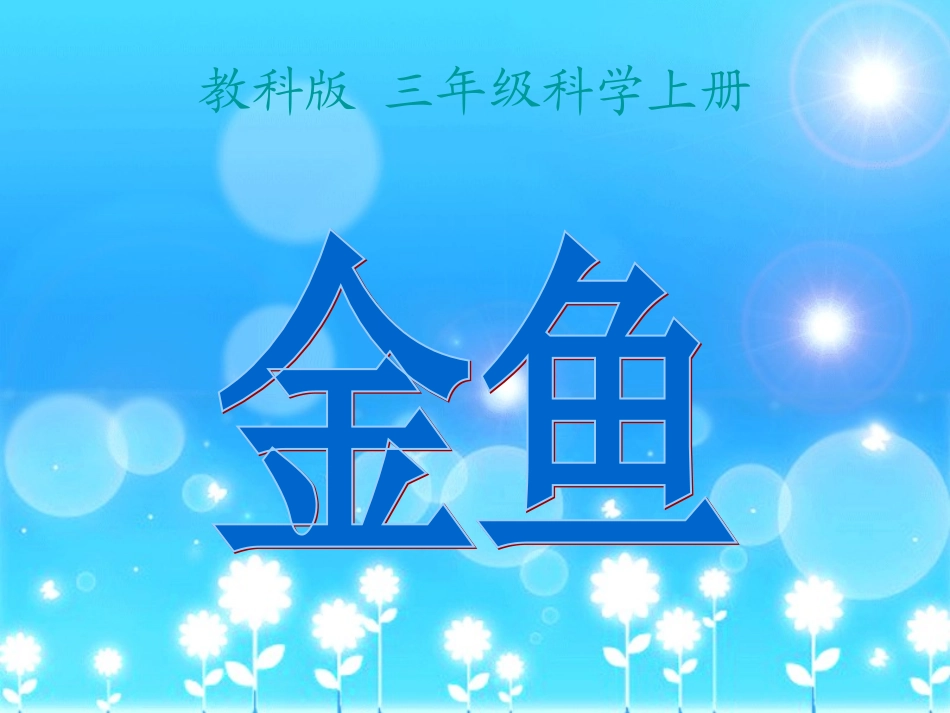 三年级科学上册课件《金鱼》_第1页
