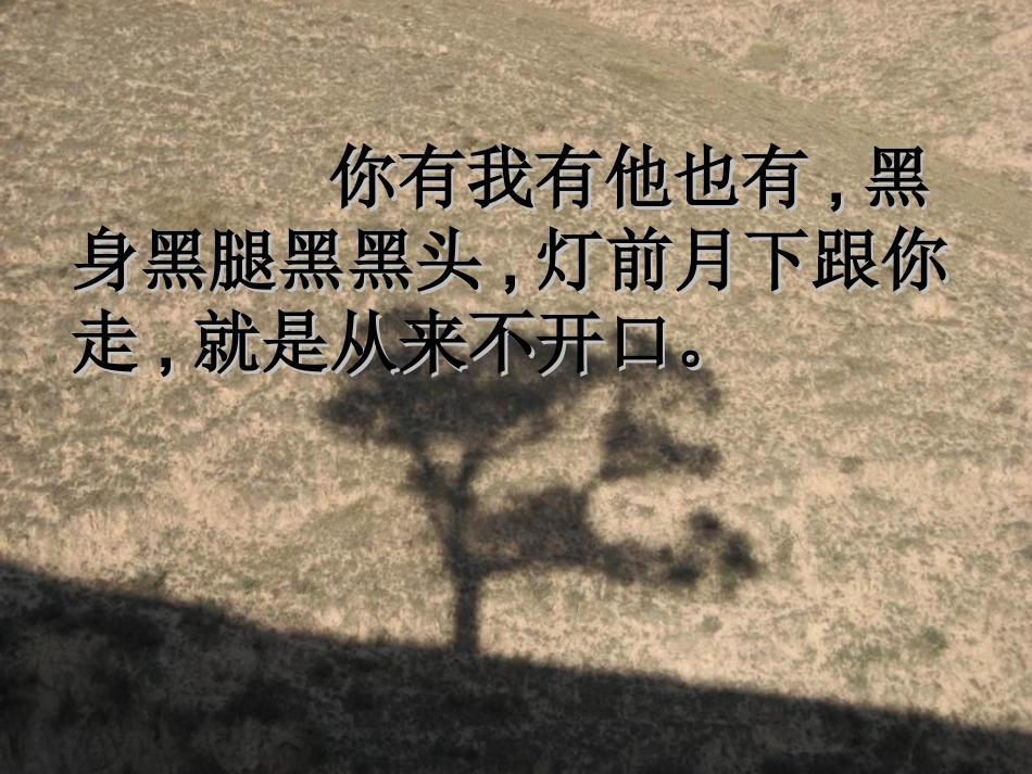 阳光下的影子 _第2页