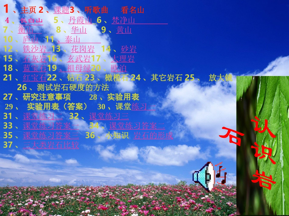 青岛版小学科学四年级认识岩石_第1页