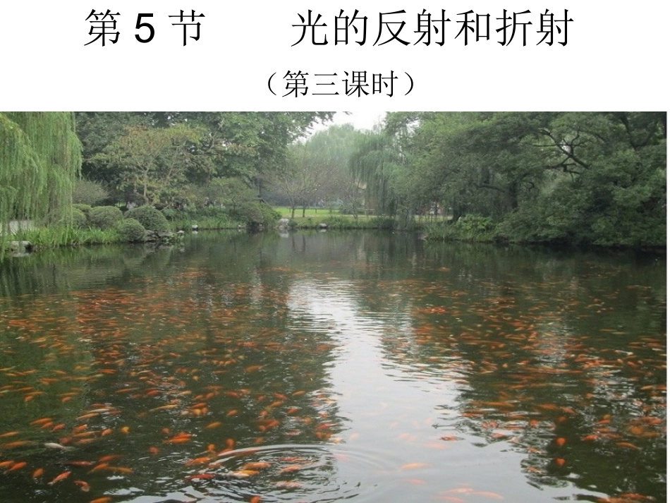 光的反射和折射_第1页