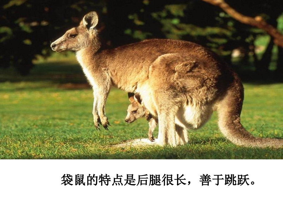 《从现在开始》课件1_第2页