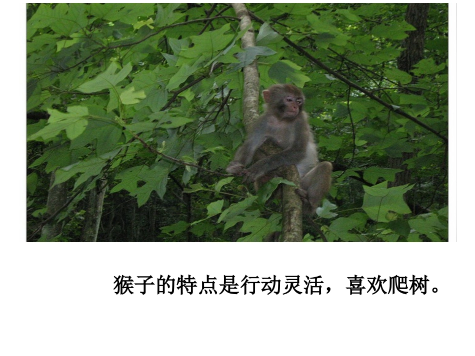 《从现在开始》课件1_第3页