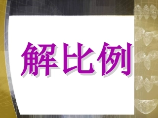 《解比例》课件2