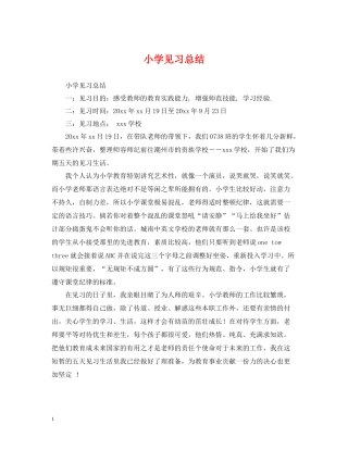 小学见习总结