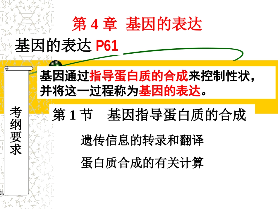 基因控制蛋白质的合成_第1页